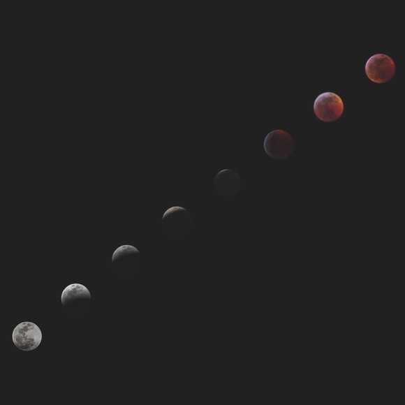 Meet your Posher, Stephanie - Picture 7 of 8